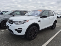2017 LAND ROVER DISCOVERY SPORT - Търг №8BBD06
