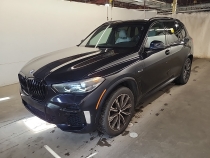 BMW X5 2023 مع رقم تعريف المركبة 5UXTA6C06P9N69531 - صورة من المزاد