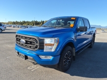 FORD F-150 2021 with VIN 1FTEW1EP5MKD63517 - Photo from auction